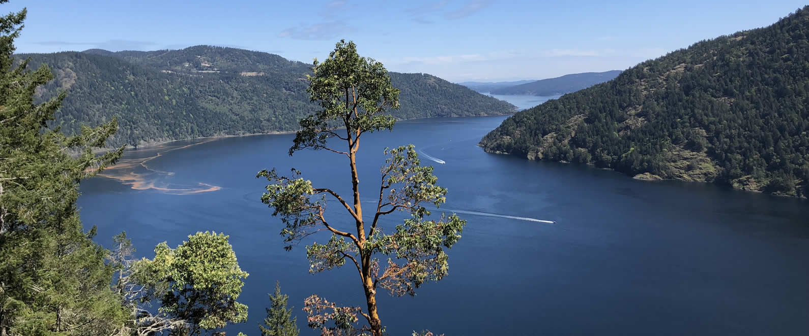 Best Dentist office near you, Victoria, BC.